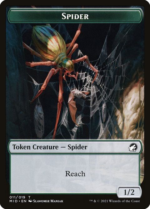 Spider (11)