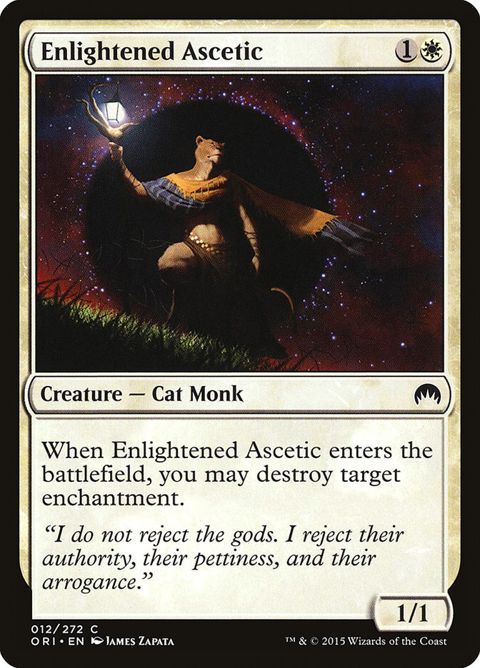 Enlightened Ascetic (12)