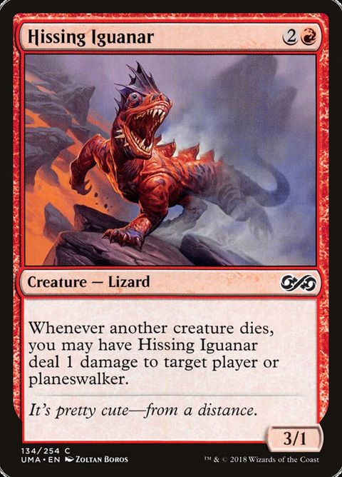 Hissing Iguanar (134)