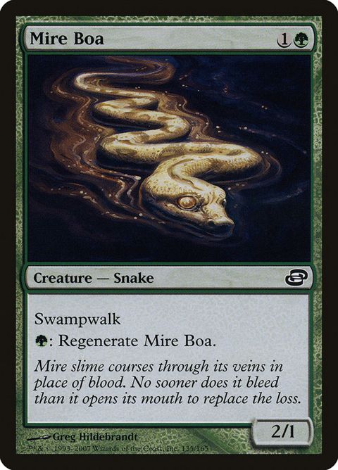 Mire Boa (135)