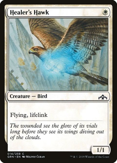 Healer's Hawk (14)