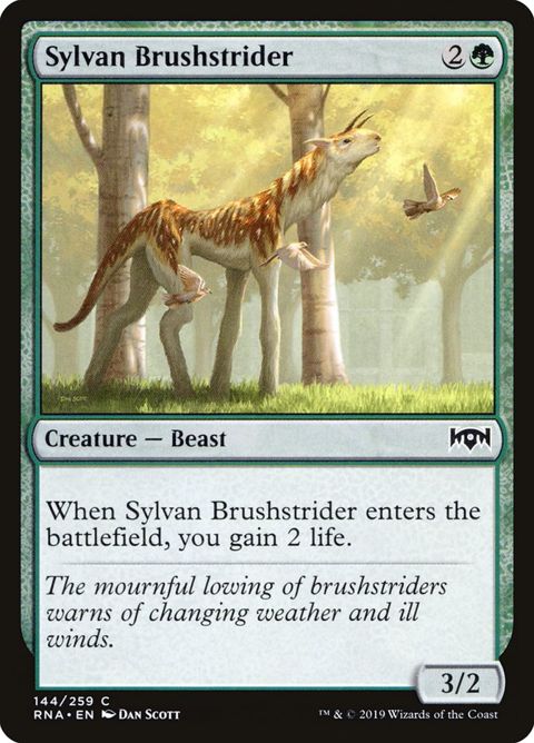 Sylvan Brushstrider (144)