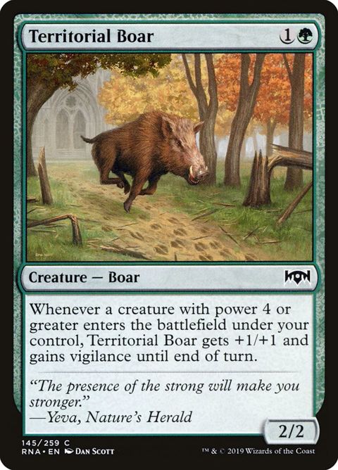 Territorial Boar (145)