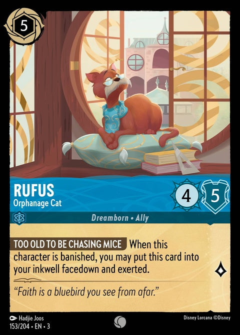 Rufus - Orphanage Cat (153)