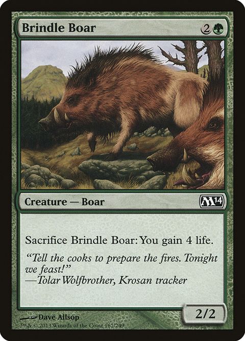 Brindle Boar (167)