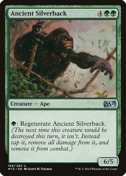 Ancient Silverback (168)