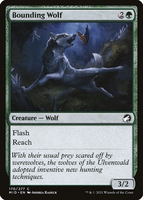 Bounding Wolf (170)