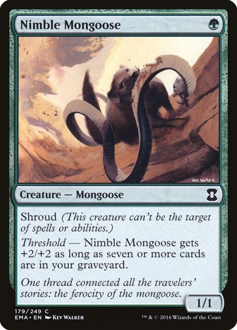 Nimble Mongoose (179)