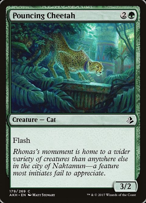 Pouncing Cheetah (179)