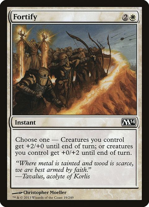 Fortify (19)