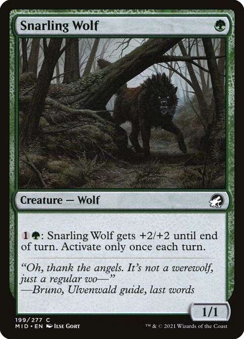 Snarling Wolf (199)