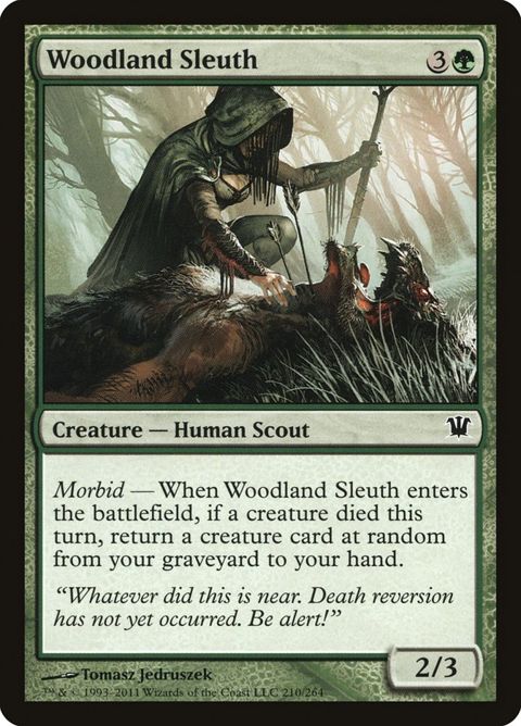 Woodland Sleuth (210)