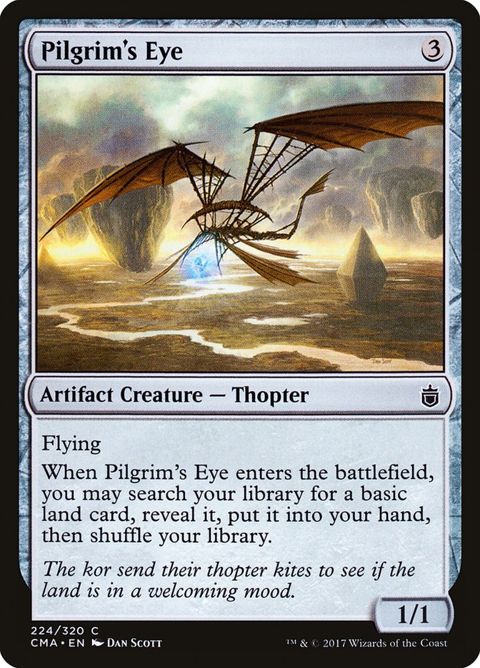 Pilgrim's Eye (224)