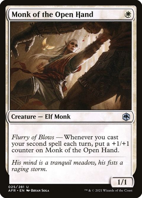 Monk of the Open Hand (25)