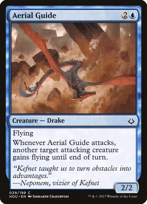 Aerial Guide (29)