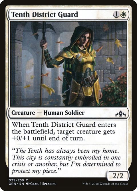 Tenth District Guard (29)