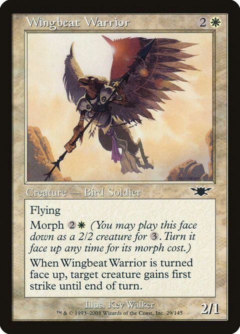 Wingbeat Warrior (29)