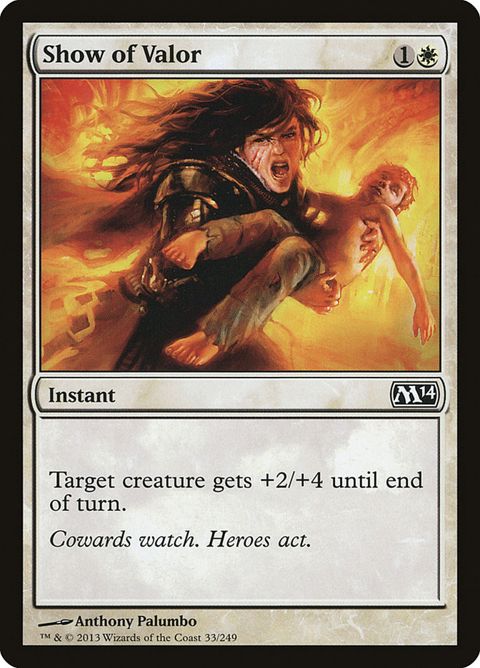 Show of Valor (33)