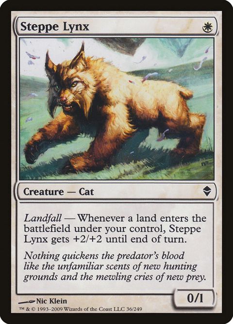 Steppe Lynx (36)