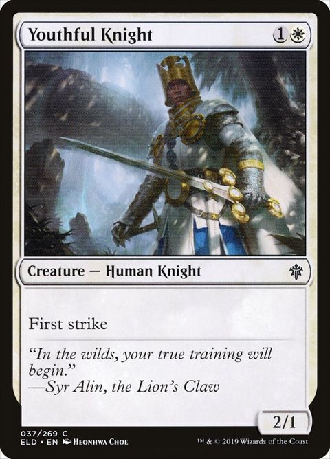 Youthful Knight (37)