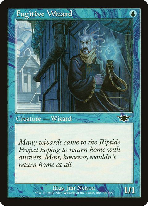 Fugitive Wizard (38)