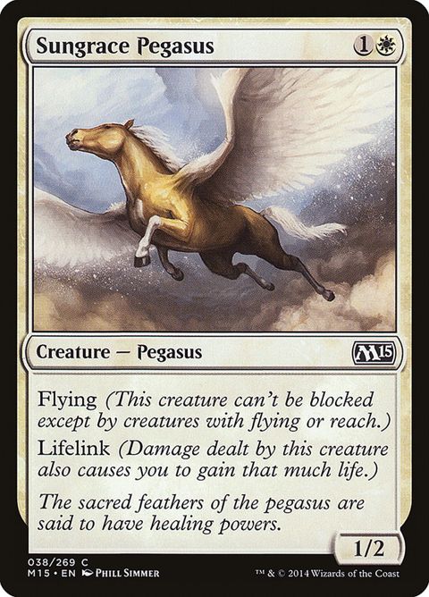 Sungrace Pegasus (38)