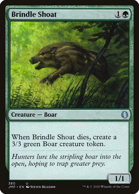 Brindle Shoat (380)