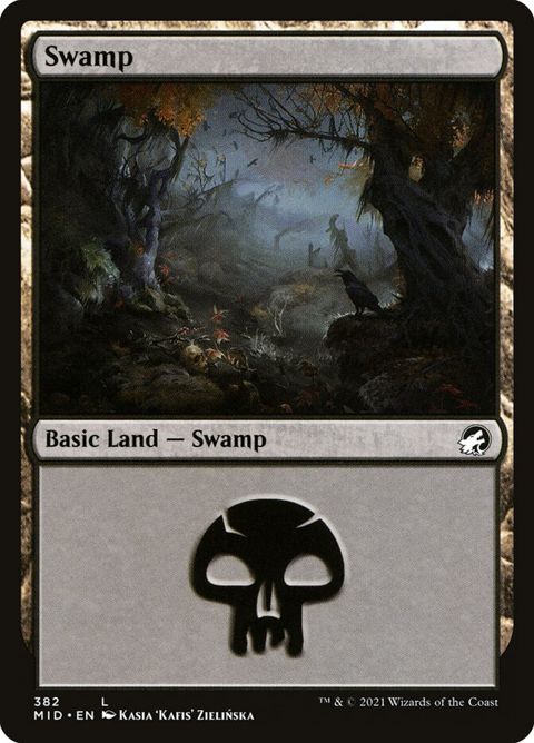 Swamp (382)