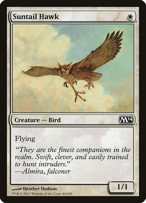 Suntail Hawk (40)