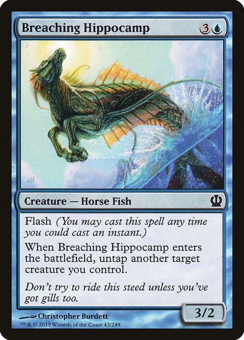 Breaching Hippocamp (43)