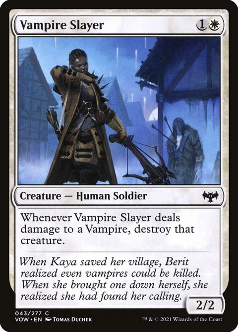 Vampire Slayer (43)