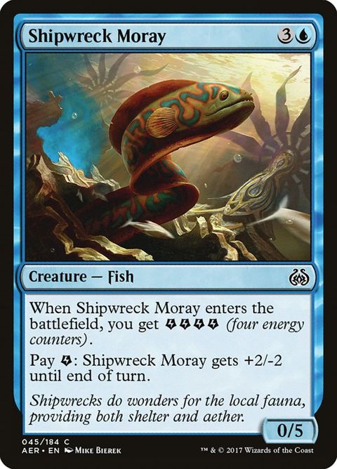 Shipwreck Moray (45)