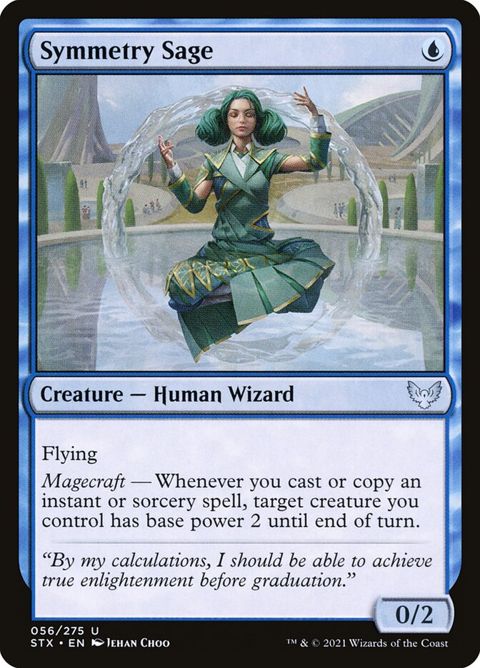 Symmetry Sage (56)