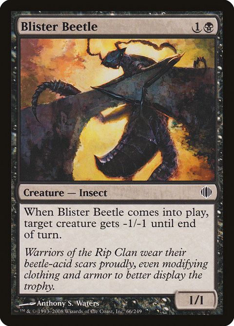 Blister Beetle (66)