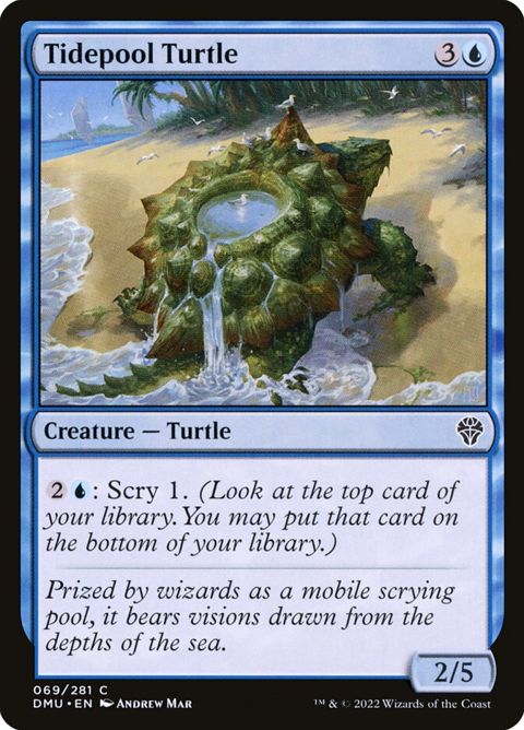 Tidepool Turtle (69)
