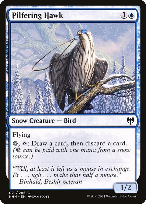 Pilfering Hawk (71)