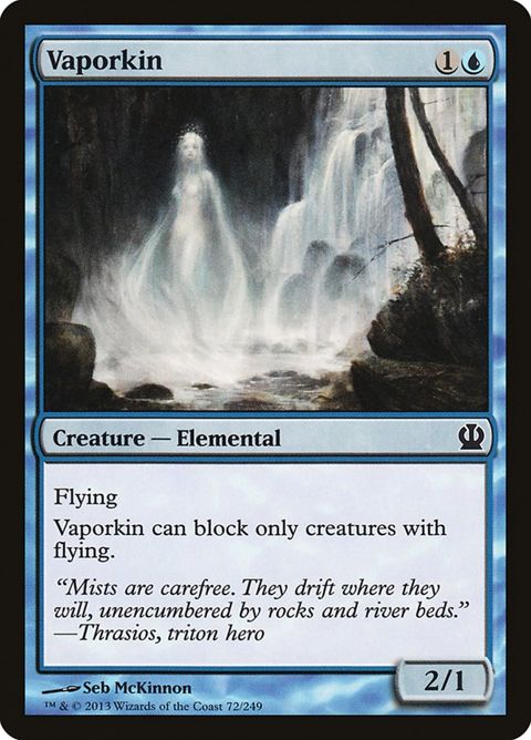Vaporkin (72)