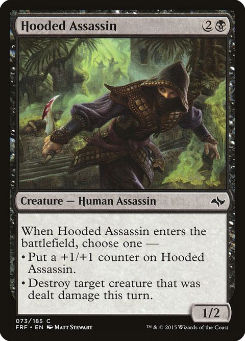 Hooded Assassin (73)