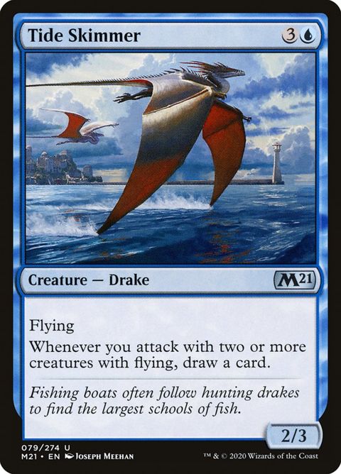 Tide Skimmer (79)