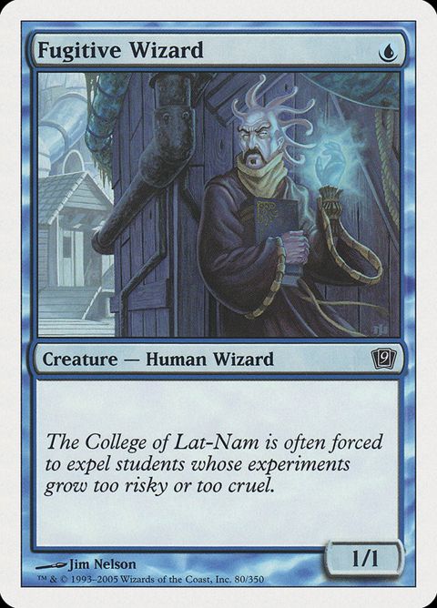 Fugitive Wizard (80)