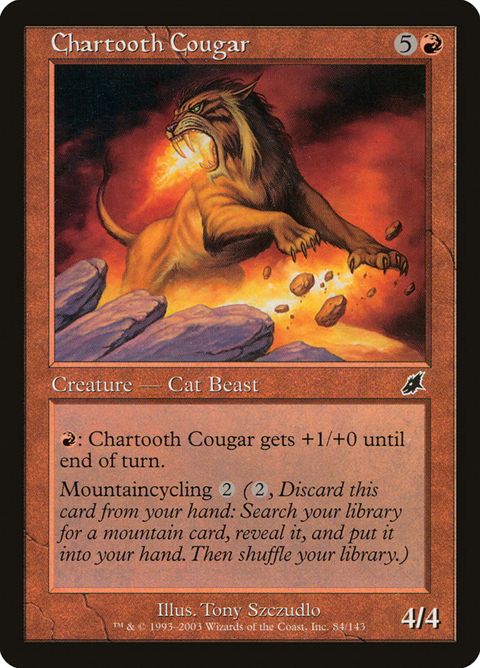 Chartooth Cougar (84)