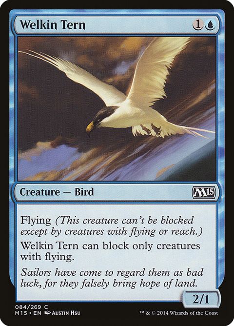 Welkin Tern (84)