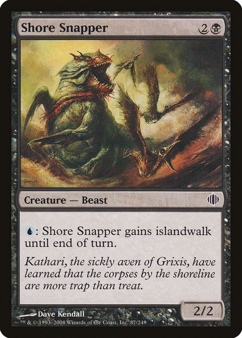 Shore Snapper (87)